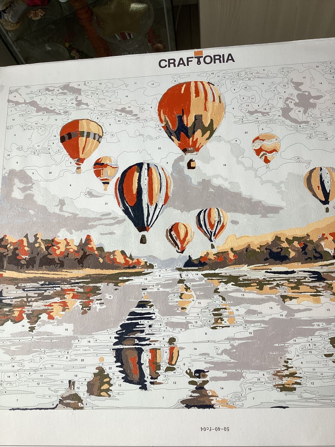 Customer photo review of Hot Air Balloon Elegance