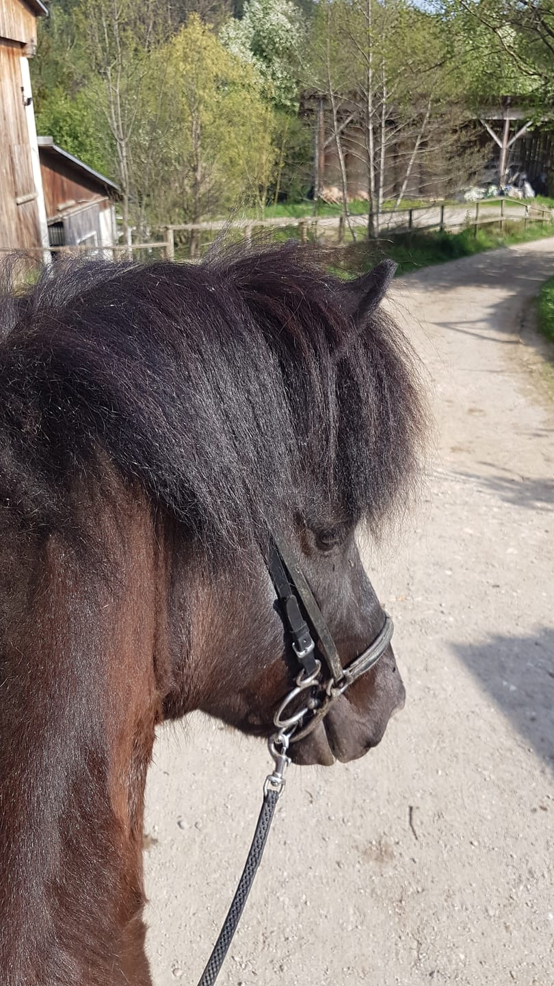Customer photo review of Kristallkraft Femmina