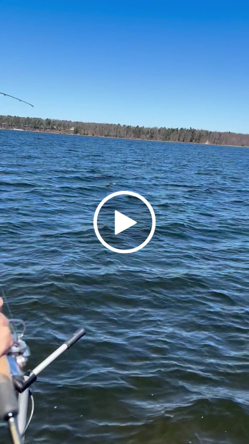 Customer video review of 200% Sensitive Tungsten Weedless Ball Jig Head | Bulk Pack