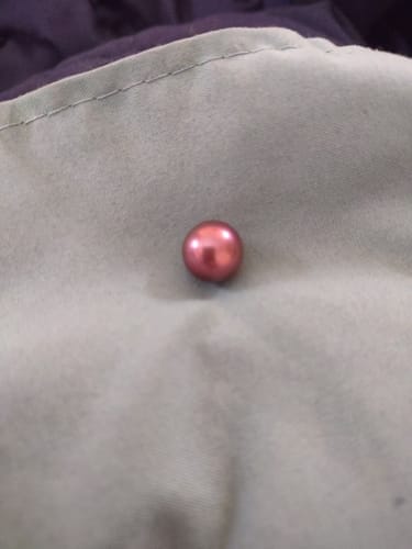 Customer photo review of Akoya Oyster - Edison Pearl 8+mm