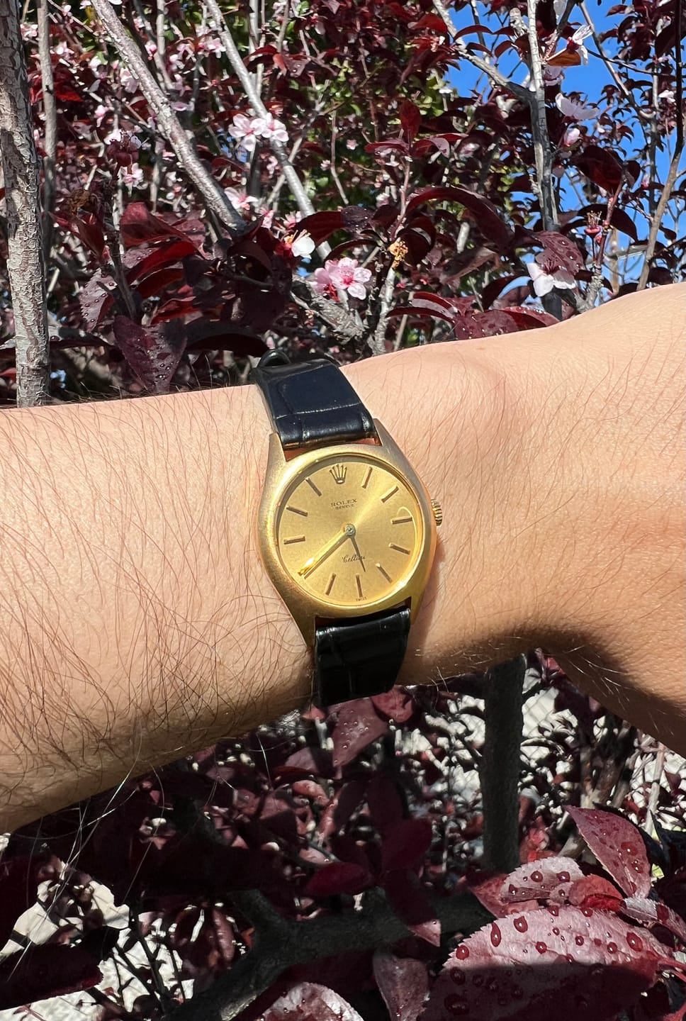 Customer photo review of Matte Black Alligator