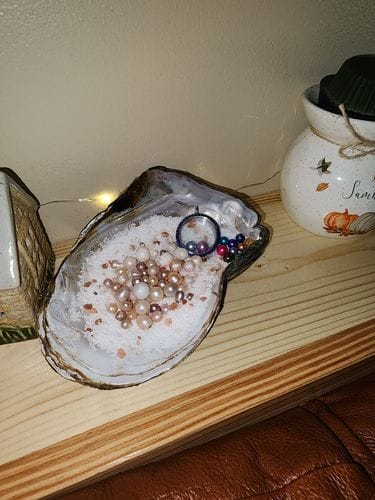 Customer photo review of Freshwater Oyster - Rainbow Monster with Colorful Pearls and 20-40 Embedded Natural Pearls