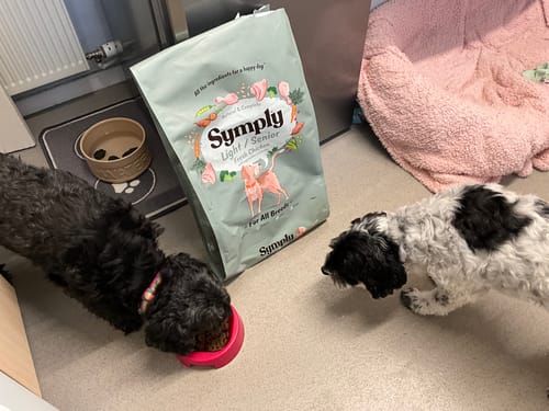 Customer photo review of Symply Adult Light / Senior Dog Food