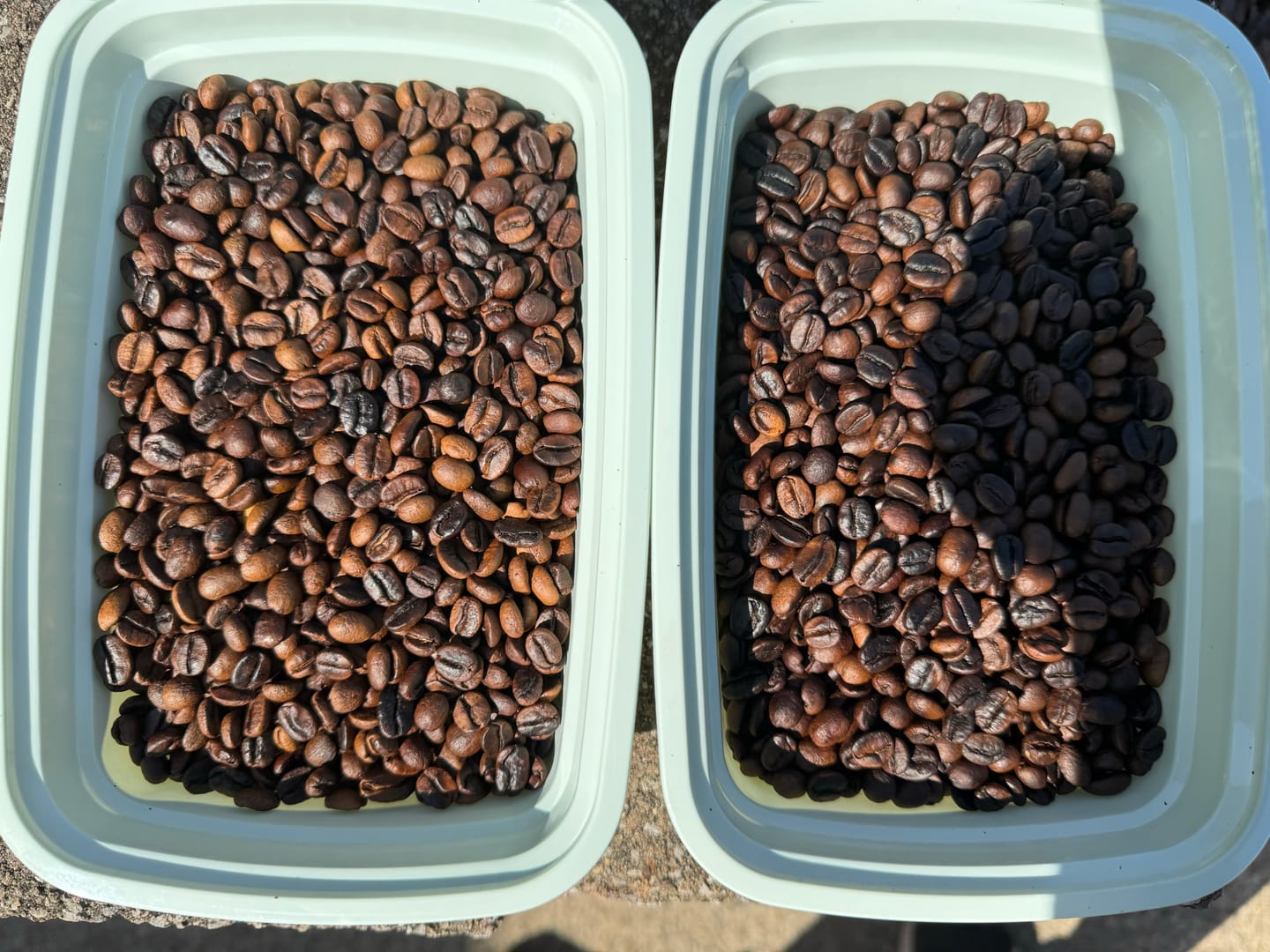 Customer photo review of Honduras Marcala 72 Hour Double Ferment Anaerobic Natural