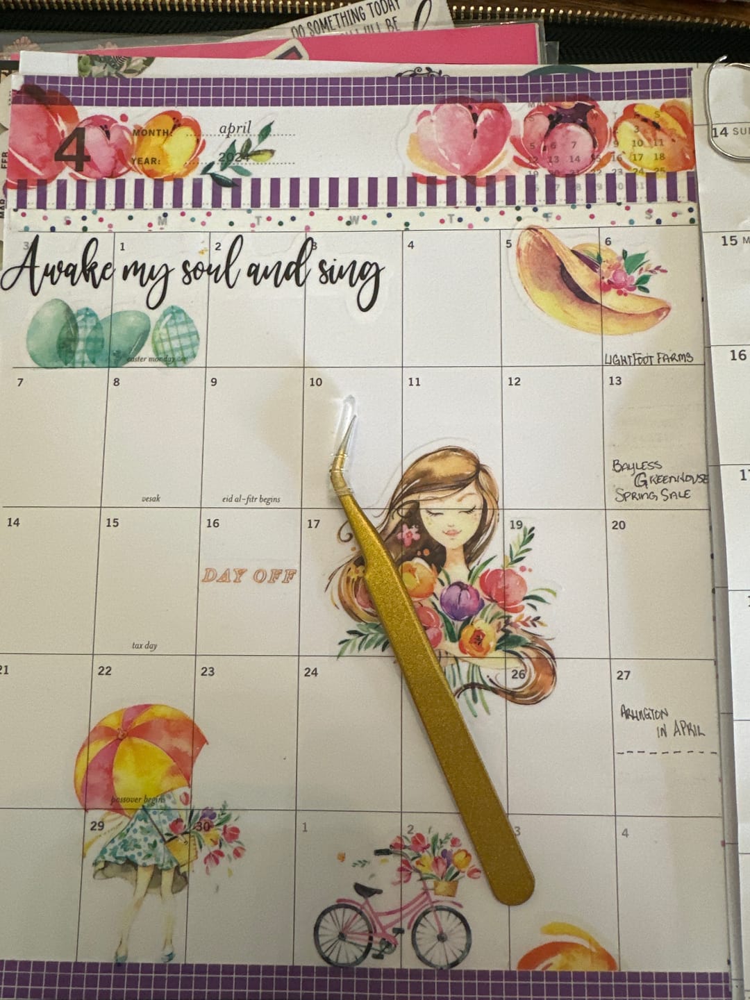 Customer photo review of Sticker Tweezers