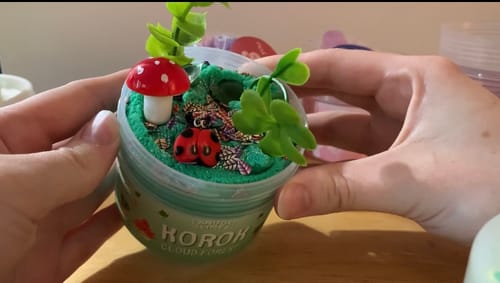 Customer photo review of Korok Cloud Forest