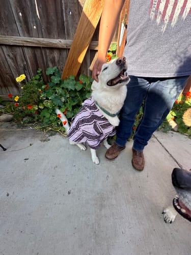 Customer photo review of Playa Poncho - Surprise Color