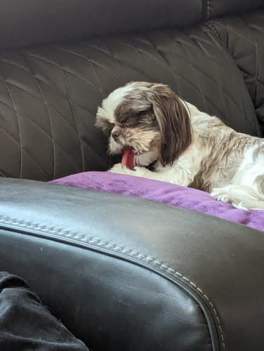 Customer photo review of STRAWBERRY CHEW