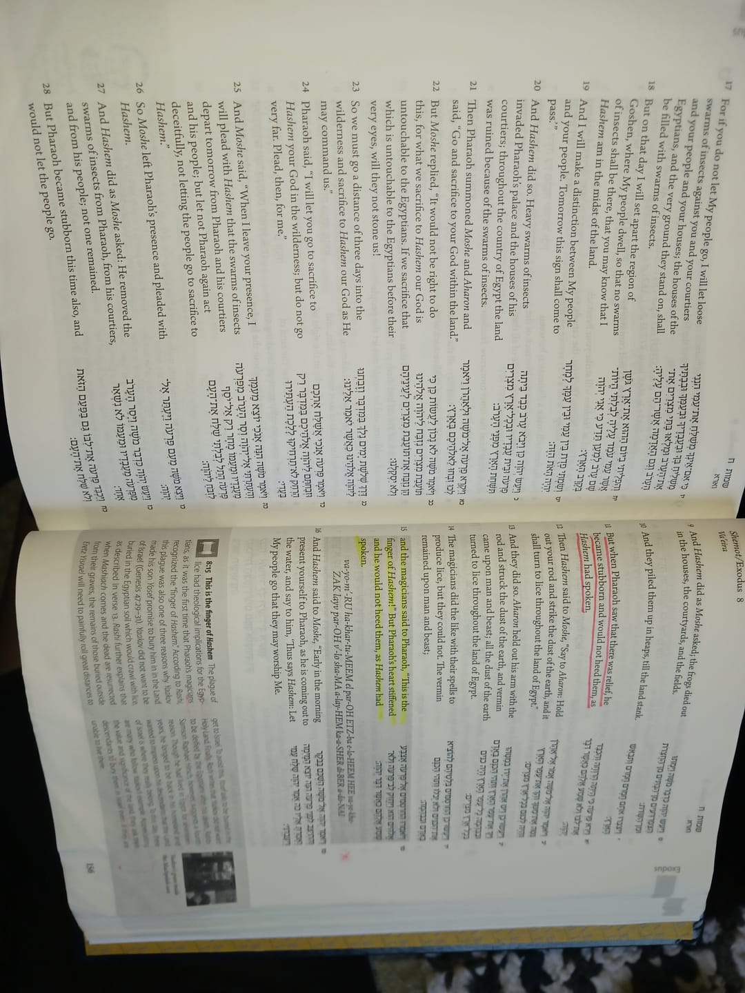 Customer photo review of Facebook SALE SPECIAL - The Israel Bible Hardcover
