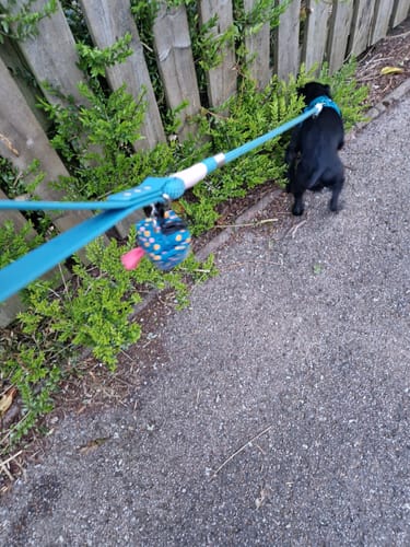 Customer photo review of Poo Bag Holder - Teal Leopard