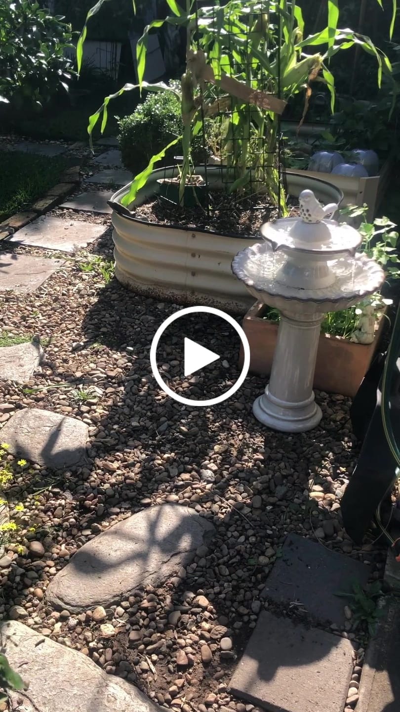 Customer video review of Maisy Ceramic Bird Bath Fountain - 2 Colours