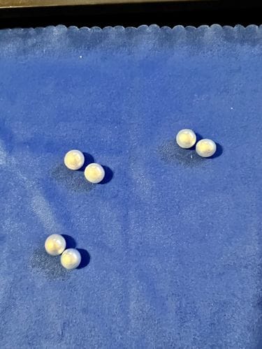 Customer photo review of Freshwater Oyster - Round Pearls