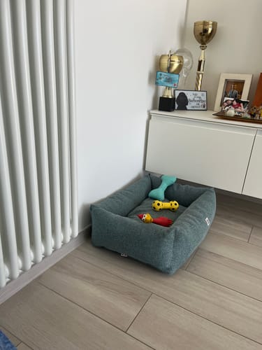 Customer photo review of Divanetto Cotone Urban Azzurro Polvere