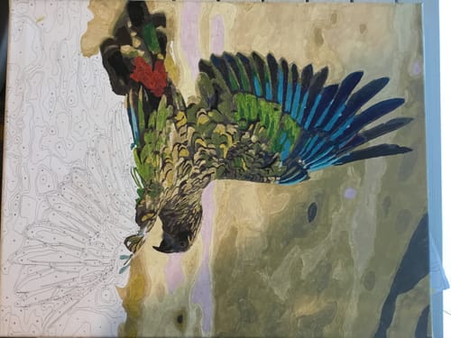 Customer photo review of Kea