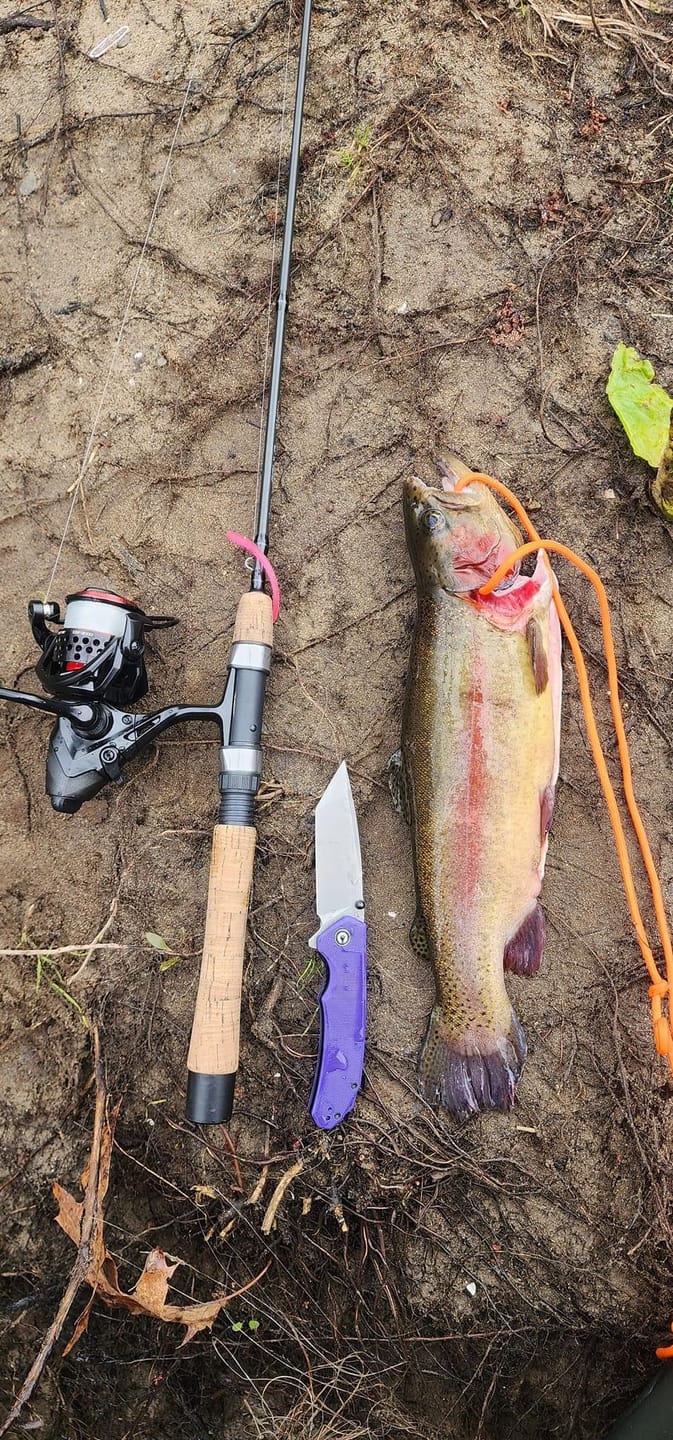 Customer photo review of Micro Worms - UV