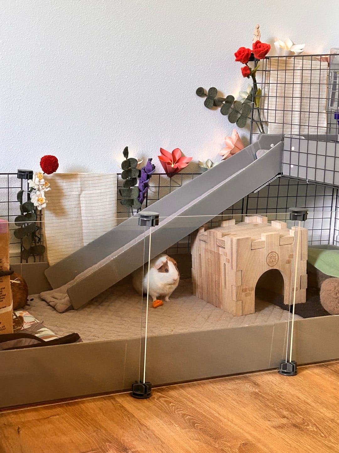 Customer photo review of Piggy Condo C&C Cage with Balcony & Ramp