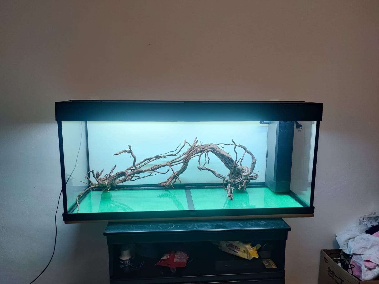 Customer photo review of Aquarium Rio 240 LED Noir Équipé JUWEL - 240L