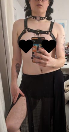 Customer photo review of OLD SIZE COOPER CHEST HARNESS