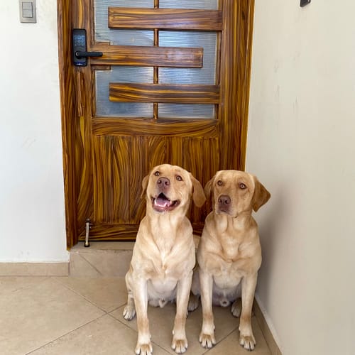 Customer photo review of Cerradura Inteligente TOCK100-TL