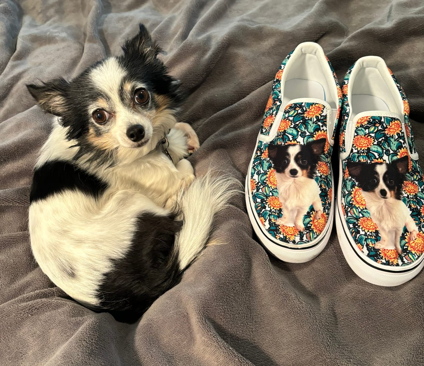 Customer photo review of Custom Slip On Sneakers With Your Pet Face - Over 100+ Combinations