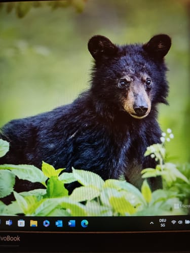 Customer photo review of MINI PRINT™ Etiketten Rollen