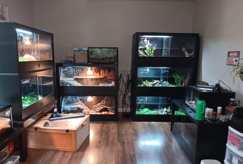 Customer photo review of XT4 BIO (48Lx24Dx24H) - STACKABLE