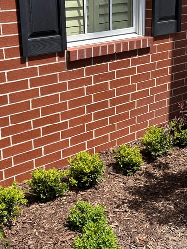 Customer photo review of Boxwood Green Velvet 1 Gallon