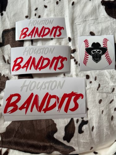 Customer photo review of Custom DTF Gang Sheet 22 x 200