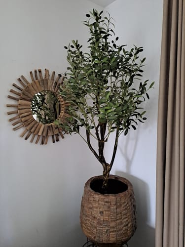 Customer photo review of Kunst Olijfboom 150cm