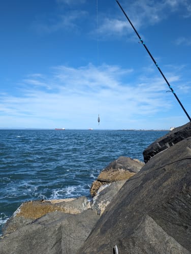 Customer photo review of 9'4" No Excuses Surf Travel Rod with Tube Medium-Heavy Action 3/4oz to 3oz