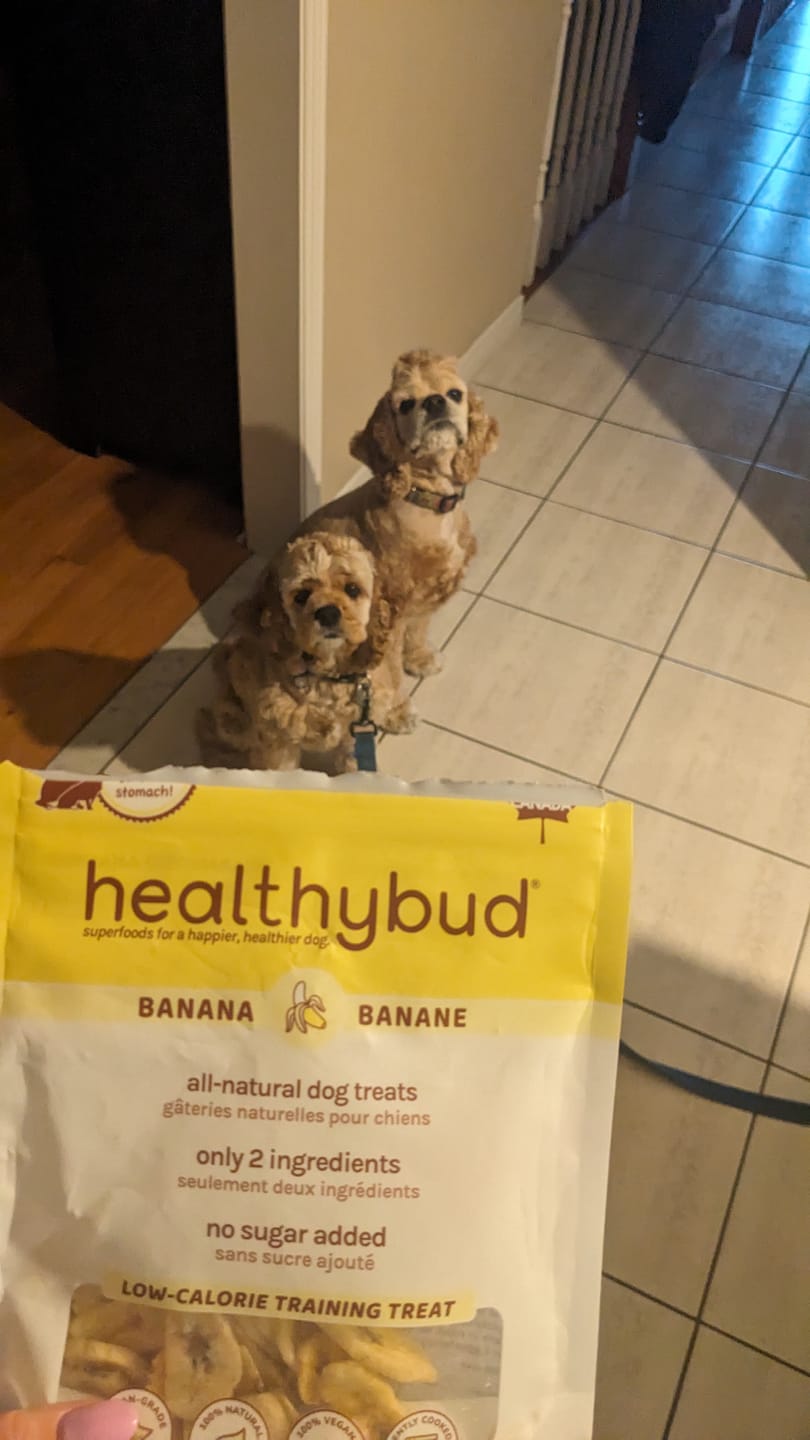 Customer photo review of Banana Chips