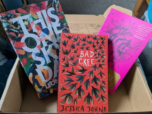 Customer photo review of 2 Book Build Your Fiction Box