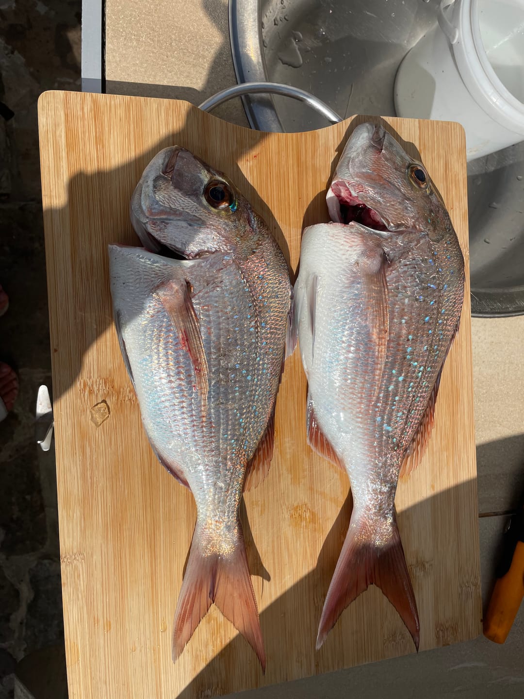 Customer photo review of DEATH TAIL