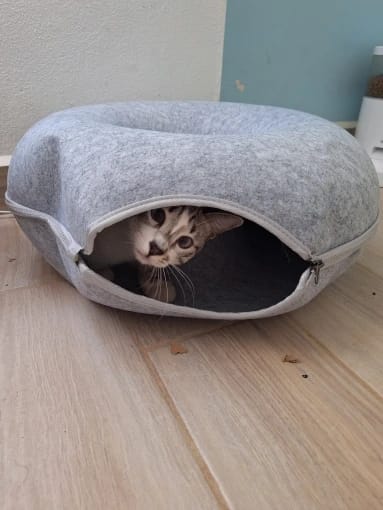 Customer photo review of Tunel Krevet za Mačke