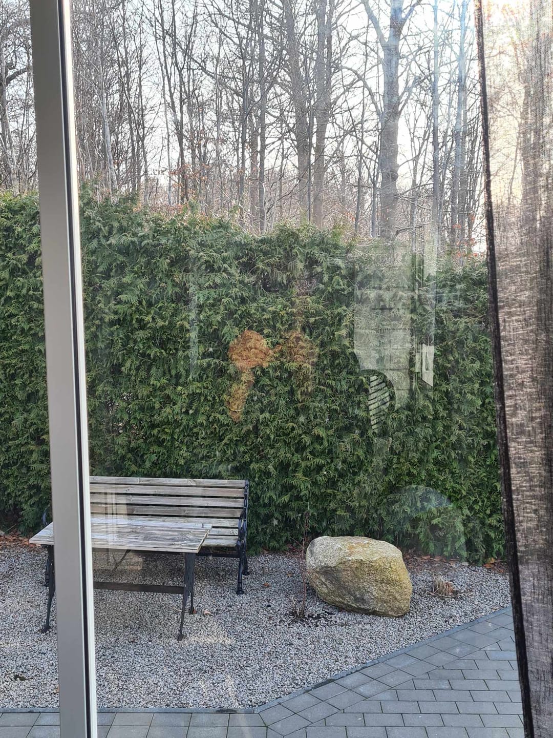 Customer photo review of Fönsterputsrobot DiteWinba PRF25 med sprayfunktion