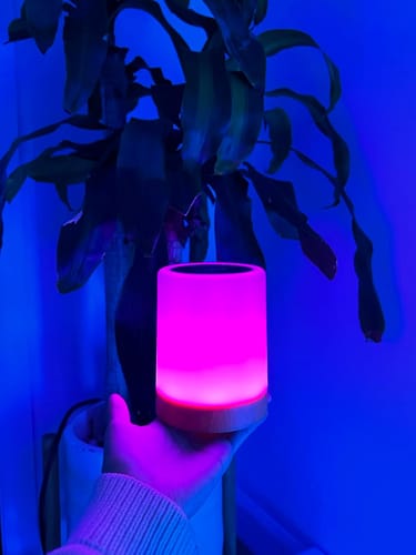 Verified customer photo review of Friendship Lamp