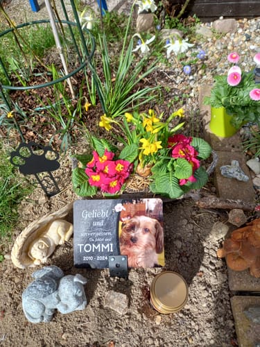 Customer photo review of Hunde Gedenktafel mit Foto & Spruch (UV- & Wetterfest)