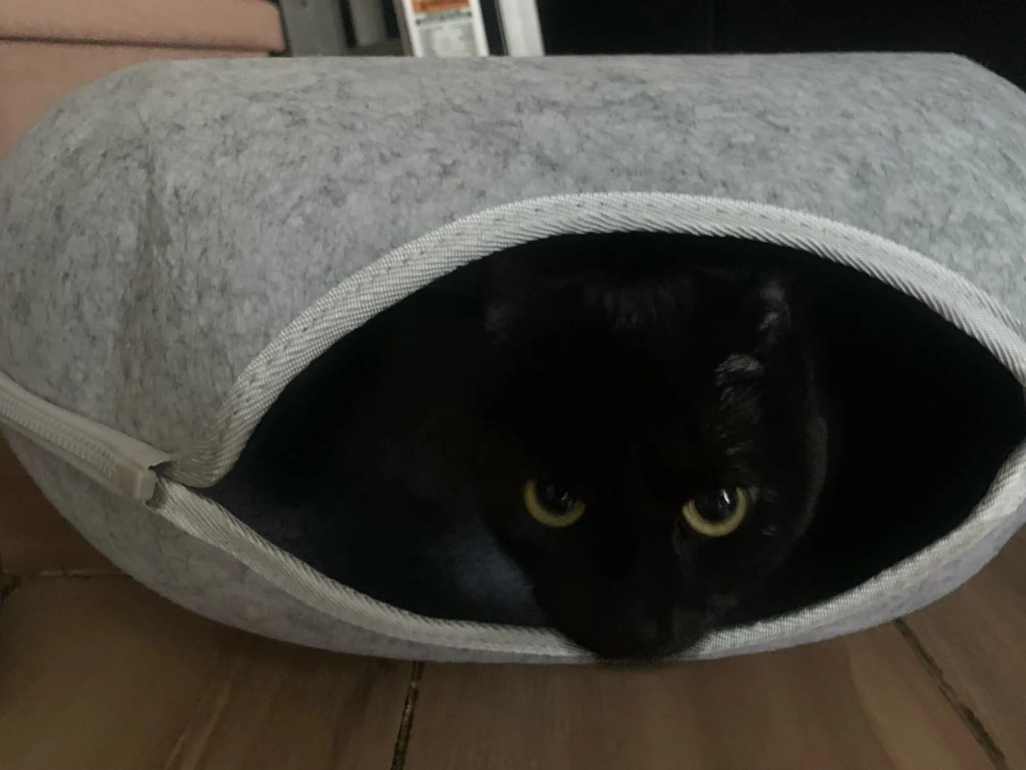Customer photo review of Tunel Krevet za Mačke