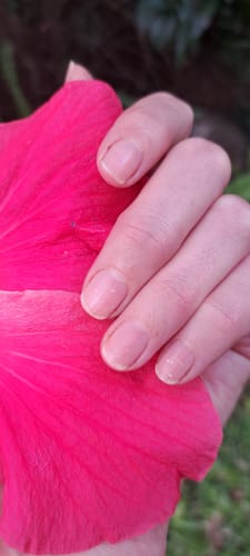 Customer photo review of Hair & Nail Herbs Tincture