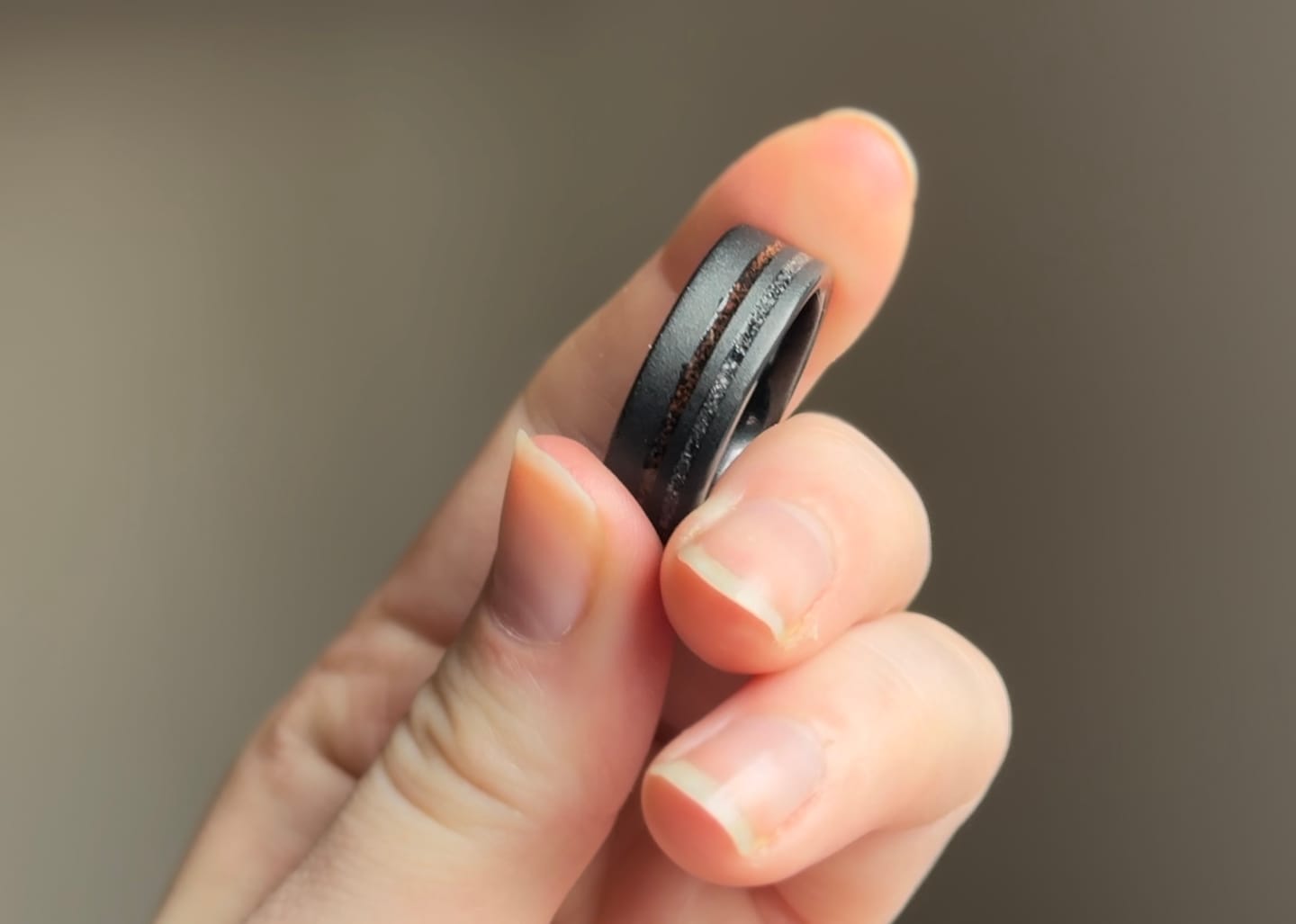 Customer photo review of The Meteorsaur