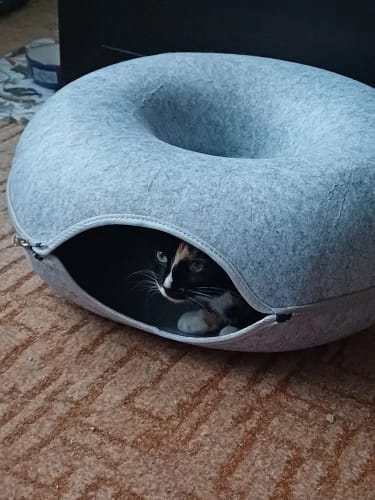 Customer photo review of Tunel Krevet za Mačke