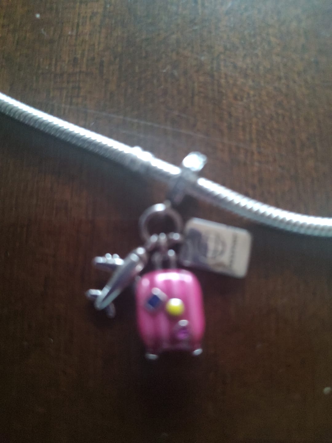 Customer photo review of Charm Viaje al Mundo