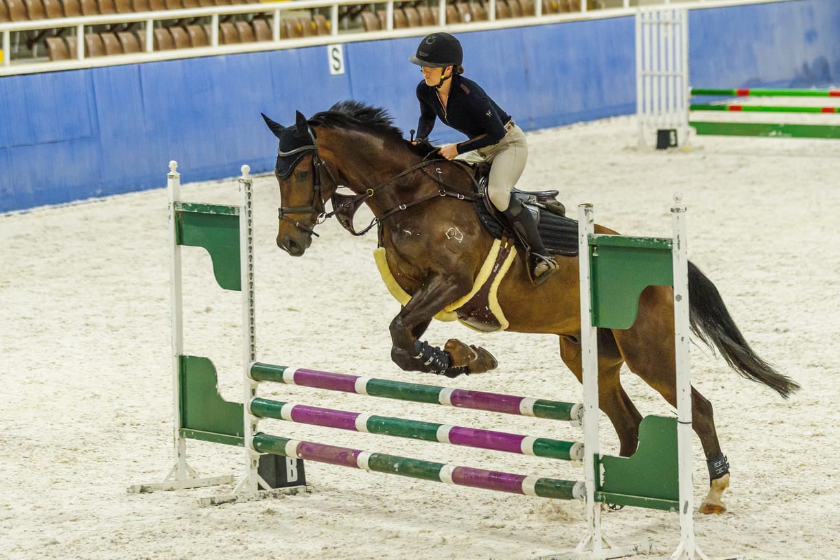 Customer photo review of Kentaur Bib Martingale