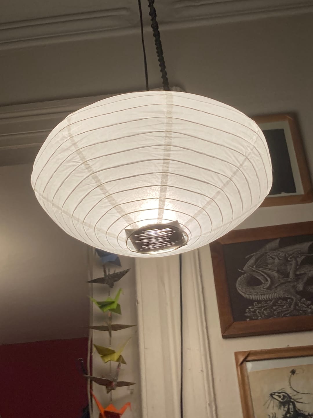 Customer photo review of 16" Beige Saturn Paper Lantern