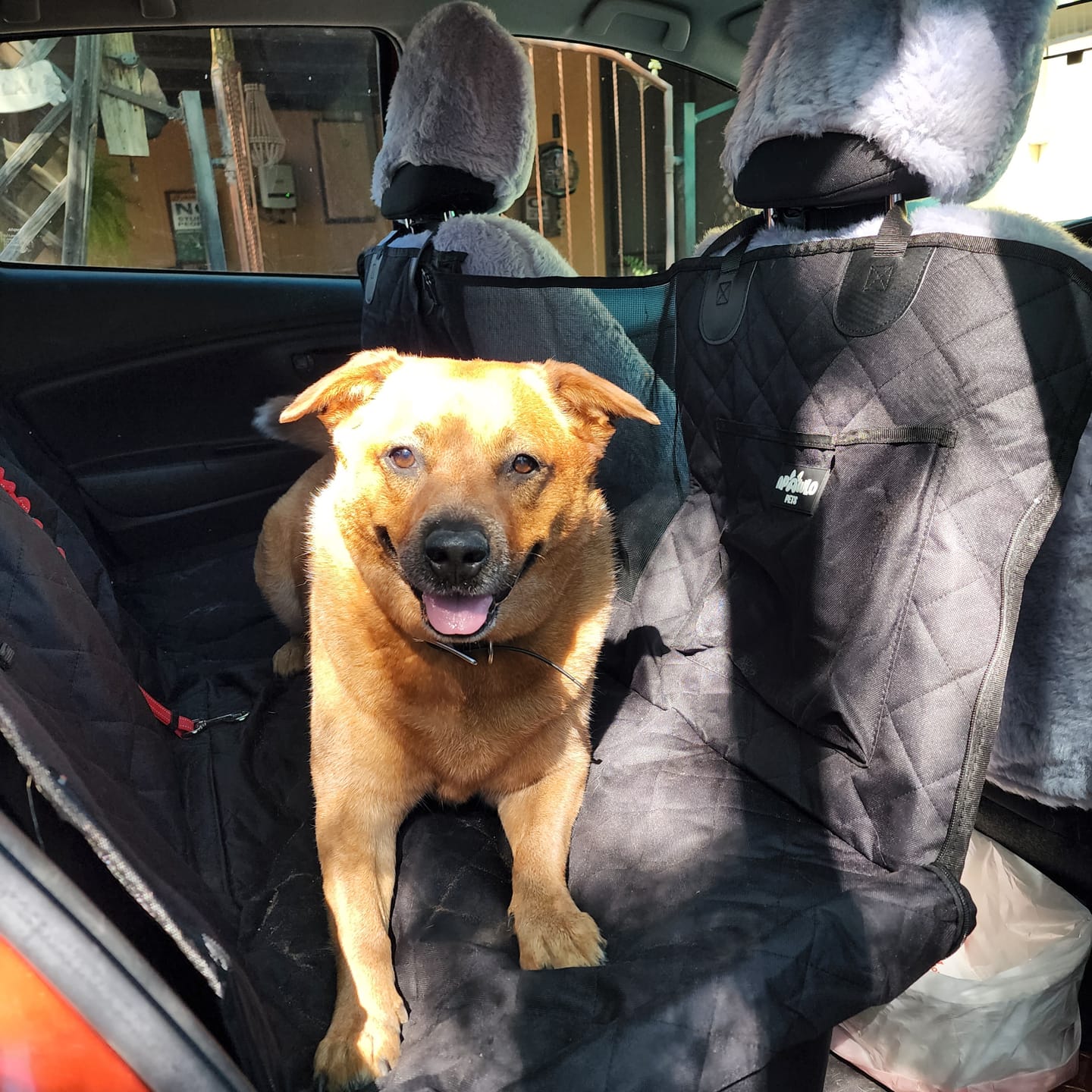 Customer photo review of 4-in-1 Dog Car Seat Cover