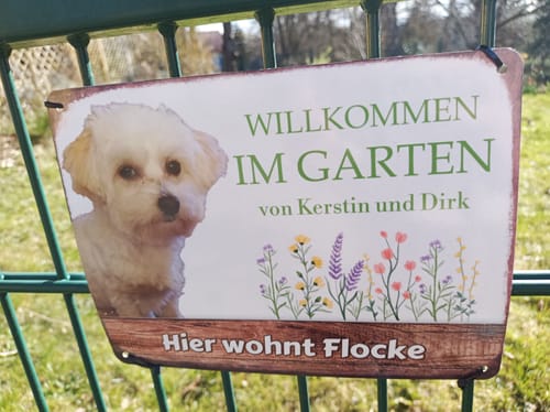 Customer photo review of Hunde Garten-Schild personalisiert mit Foto & Text (UV- und wetterfest)