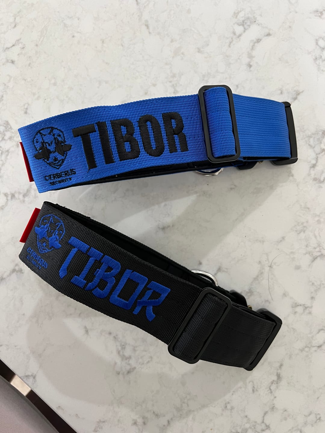 Customer photo review of 2" Tactik Dog Collar - Cobalt