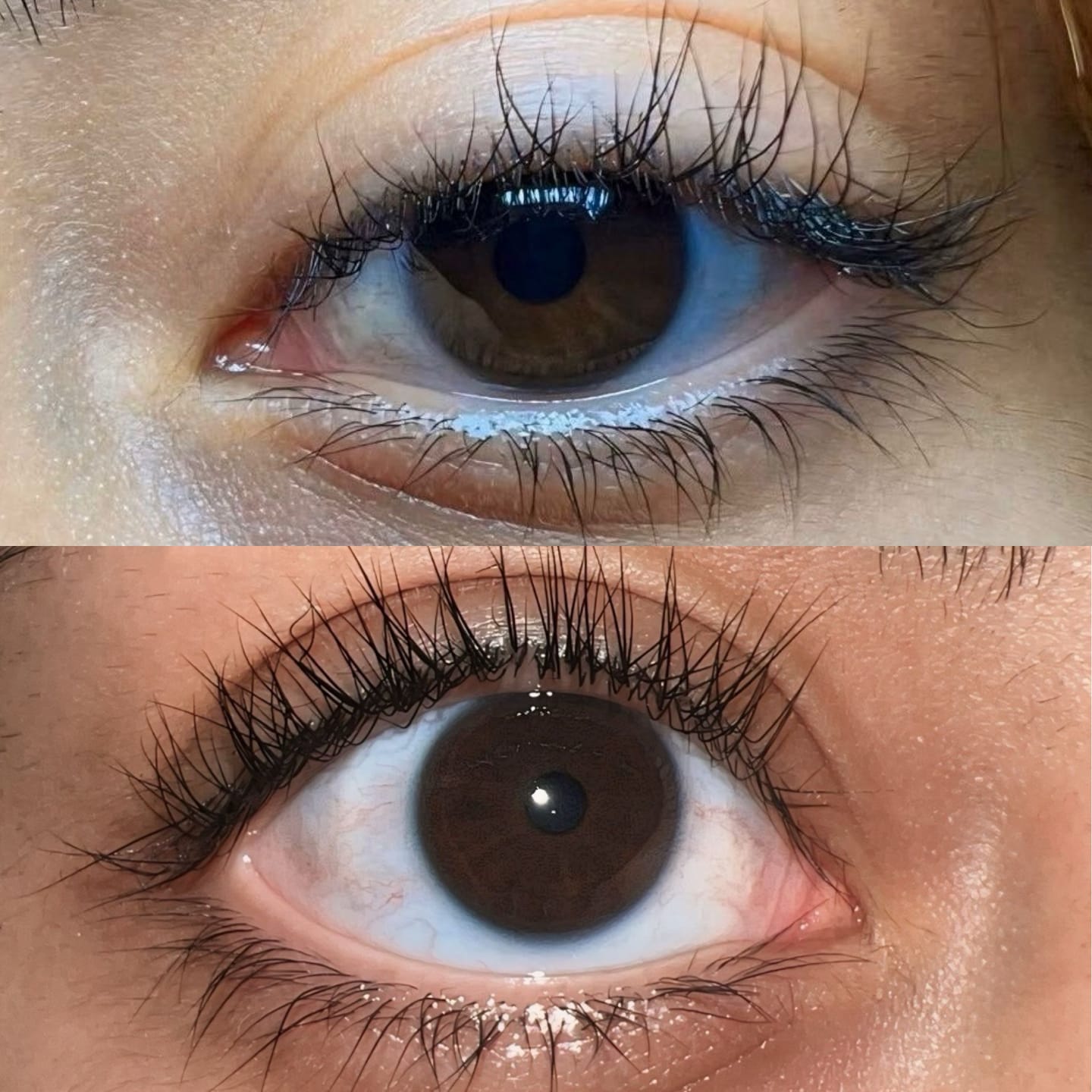 Customer photo review of Diablo Eyelash Serum
