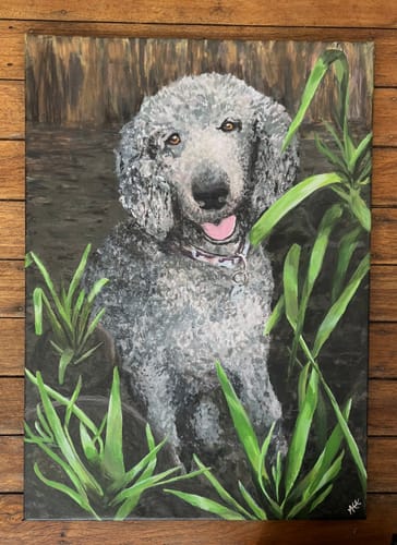 Customer photo review of Custom Paint By Numbers