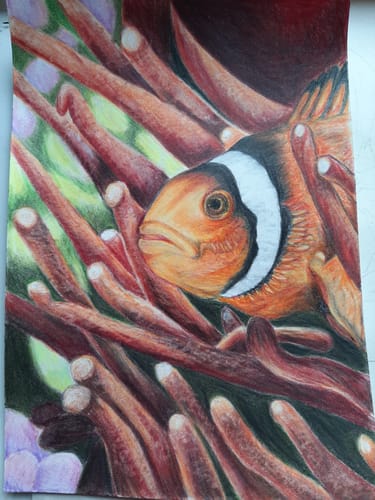 Customer photo review of 120 Teiliges Castle Gold Buntstift Set Im Reißverschlussetui